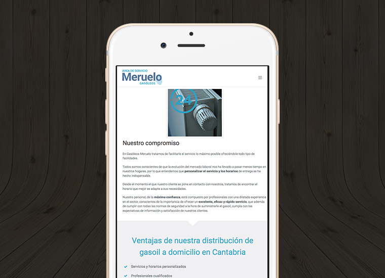 Diseño web adaptable para Gasóleos Meruelo Cantabria